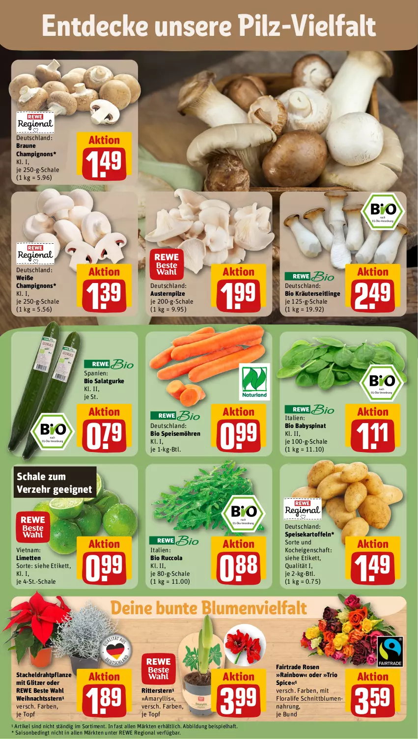 Aktueller Prospekt Rewe - Prospekte - von 04.11 bis 09.11.2024 - strona 7 - produkty: aust, Austern, Babyspinat, bio, blume, blumen, braun, champignon, champignons, cola, decke, Draht, eis, gurke, kartoffel, kartoffeln, kräuter, Kräuterseitlinge, limette, limetten, Mett, metten, möhren, pflanze, pilze, rewe beste wahl, ritter, rosen, salat, Salatgurke, Schal, Schale, speisekartoffeln, speisemöhren, spinat, Ti, topf, Weihnachtsstern