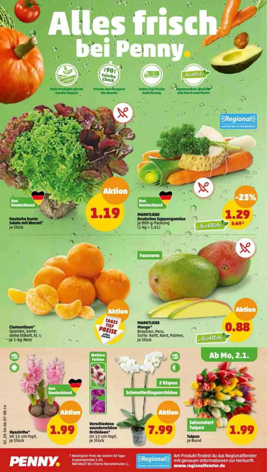 Aktueller Prospekt Penny - Prospekte - von 02.01 bis 07.01.2023 - strona 2 - produkty: bio, clementinen, eis, fenster, LG, mango, natur, orchidee, orchideen, reis, Romatomaten, salat, salate, suppe, suppen, tee, Ti, tomate, tomaten, topf