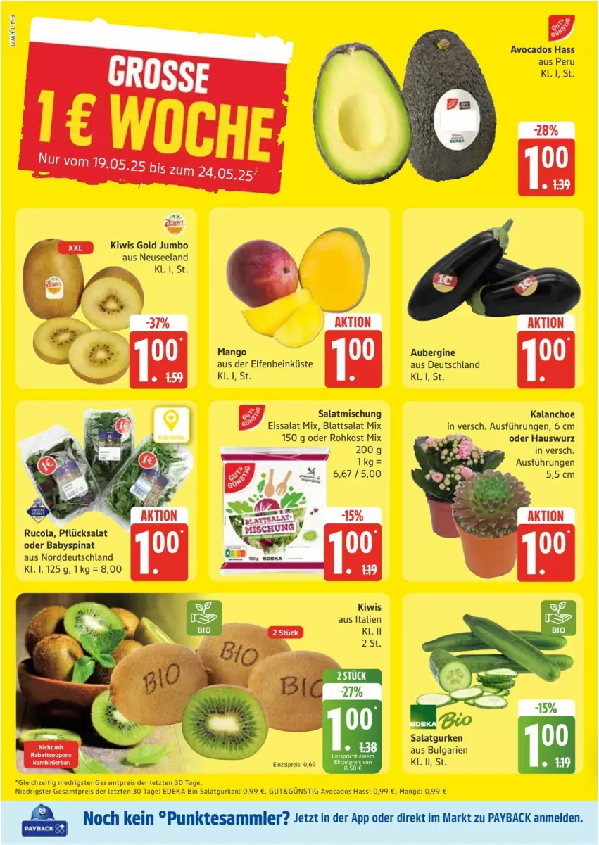 Aktueller Prospekt Edeka - Prospekte - von 19.05 bis 24.05.2025 - strona 4 - produkty: aubergine, avocado, avocados, bio, deka, edeka bio, eis, Elan, gin, gurke, gurken, Hauswurz, jumbo, Kalanchoe, kiwi, LG, mango, reis, salat, Salatgurke, salatgurken, Ti, ZTE
