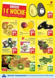 Gazetka promocyjna Edeka - Prospekte - Gazetka - ważna od 24.05 do 24.05.2025 - strona 4 - produkty: aubergine, avocado, avocados, bio, deka, edeka bio, eis, Elan, gin, gurke, gurken, Hauswurz, jumbo, Kalanchoe, kiwi, LG, mango, reis, salat, Salatgurke, salatgurken, Ti, ZTE