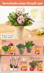 Gazetka promocyjna Rewe - Prospekte - Gazetka - ważna od 13.02 do 13.02.2022 - strona 14 - produkty: aktionspreis, Becher, blume, blumen, Blüte, eis, gin, HP, Mett, orchidee, pflanze, reis, Schmetterling, schmetterlingsorchidee, Ti, tisch, topf, übertopf