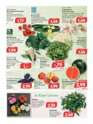 Gazetka promocyjna Feneberg - Prospekte - Gazetka - ważna od 21.05 do 21.05.2022 - strona 6 - produkty: Bau, Becher, beere, beeren, bier, bio, blume, blumen, blumenkohl, braun, broccoli, brot, champignon, champignons, dahlie, eimer, eis, elle, ente, fleisch, frucht, fruchtfleisch, Geflügel, grill, gurke, gurken, heidelbeere, heidelbeeren, ilag, kopfsalat, LG, mac, melone, Nektar, nektarinen, nektarinen oder, nuss, oder pfirsiche, pfirsich, pfirsiche, pflaume, pflaumen, reis, Rettich, rwe, saft, salat, Schal, Schale, suppe, suppen, Ti, tisch, tomate, tomaten, topf, vita, wasser, wassermelone