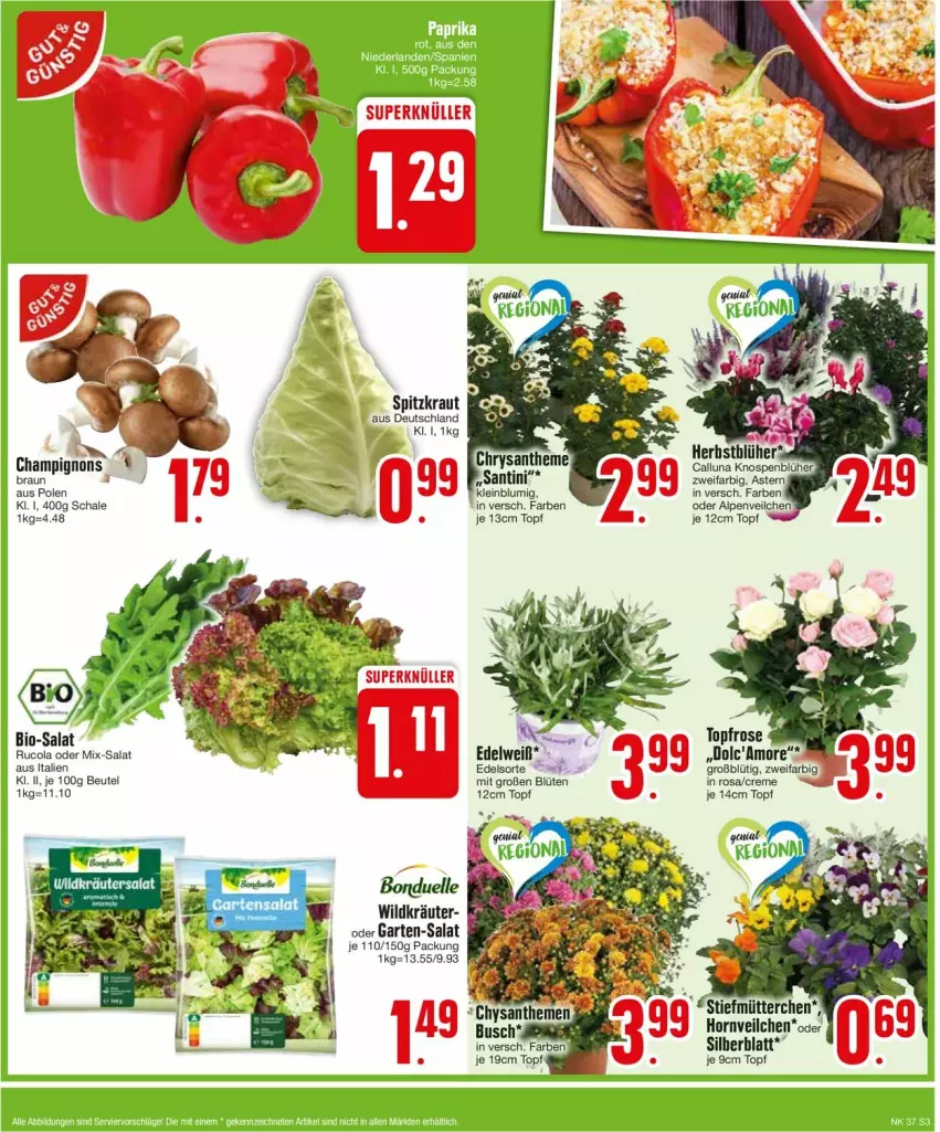 Aktueller Prospekt Edeka - Prospekte - von 09.09 bis 14.09.2024 - strona 3 - produkty: beutel, bio, Blüte, bonduelle, cola, creme, eis, elle, Garten, Kraut, kräuter, rucola, salat, Schal, Schale, Ti, topf, Wild