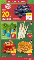 Gazetka promocyjna Aldi Nord - Von Montag - Gazetka - ważna od 19.04 do 19.04.2025 - strona 3 - produkty: beere, beeren, bio, eis, heidelbeere, heidelbeeren, kartoffel, kartoffeln, kräuter, sac, Schal, Schale, spargel, speisekartoffeln, Ti, topf, trolli, zwiebel, zwiebeln