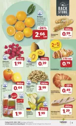 Gazetka promocyjna Combi - Prospekte - Gazetka - ważna od 09.11 do 09.11.2024 - strona 3 - produkty: angebot, angebote, baguette, beere, beeren, beutel, Birnen, brötchen, butter, Croissant, eis, Elefant, erdnüsse, feta, flasche, himbeer, himbeere, himbeeren, Kaki, kiwi, Kiwi Gold, orange, orangen, reis, Schal, Schale, smoothie, smoothies, stube, tafelbirnen, telefon, Ti, ZTE