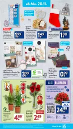 Gazetka promocyjna Aldi Nord - Von Montag - Gazetka - ważna od 25.11 do 25.11.2023 - strona 11 - produkty: aldi, Beba, blume, blumen, Blüte, Brei, Crofton, eis, elle, erde, gutschein, gutscheine, hero, Holz, keks, kekse, kuchen, kulturtopf, LG, pflanze, pralinen, reis, Ria, teller, Ti, tiefpreis, topf, Tüte, uhr, Vase