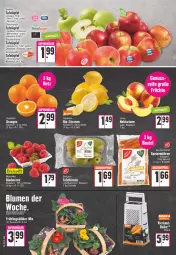 Gazetka promocyjna E Center - Angebote der Woche - Gazetka - ważna od 04.03 do 04.03.2023 - strona 4 - produkty: angebot, beutel, Birnen, blume, blumen, deka, eis, holsteiner, korb, LG, möhren, Nektar, nektarinen, orange, orangen, Schal, Schale, speisemöhren, steiner, tafeläpfel, tafelbirnen, Wella