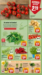 Gazetka promocyjna Rewe - Prospekte - Gazetka - ważna od 03.02 do 03.02.2024 - strona 5 - produkty: basilikum, bio, blume, blumen, eis, elle, feta, gin, Kaiser, kartoffel, kartoffeln, möhren, nudel, nudeln, paprika, pfanne, pinienkerne, rezept, rezepte, ring, rispentomaten, Schal, Schale, speisekartoffeln, Spitzpaprika, stauden, Ti, tomate, tomaten, topf, zucchini, zwiebel