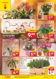 Gazetka promocyjna Netto Marken-Discount - Filial-Angebote - Gazetka - ważna od 15.10 do 15.10.2022 - strona 6 - produkty: bestpreis, Blüte, chili, chrysanthemen, eis, elle, Holz, hot chili, Kalanchoe, kräuter, Mett, ndk, orchidee, paprika, pflanze, pflanzen, reis, Ria, rosen, rosmarin, Schmetterling, schmetterlingsorchidee, snack, Ti, tomate, topf, versandkostenfrei, Wichtel, ZTE