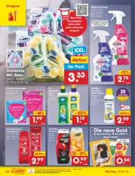 Gazetka promocyjna Netto Marken-Discount - Filial-Angebote - Gazetka - ważna od 01.07 do 01.07.2023 - strona 24 - produkty: bestpreis, bio, biozidprodukte, Blüte, carefree, coupon, coupons, domestos, duschdas, duschgel, eis, elvital, heitmann, Hela, magazin, ndk, Rauch, reiniger, reis, rwe, sagrotan, shampoo, shampoo oder spülung, slip, slipeinlagen, spülmittel, spülung, Ti, vita