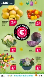 Gazetka promocyjna Netto - Angebote ab Montag - Gazetka - ważna od 16.04 do 16.04.2022 - strona 2 - produkty: blume, blumen, blumenkohl, cherrytomaten, eis, kartoffel, kartoffeln, mehl, rotkohl, Schal, Schale, speisekartoffeln, stauden, Ti, tomate, tomaten, topf