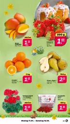 Gazetka promocyjna Netto - Angebote ab Montag - Gazetka - ważna od 16.04 do 16.04.2022 - strona 3 - produkty: apfel, beere, beeren, Birnen, erdbeere, erdbeeren, geranie, geranien, grana, granatapfel, granatapfelkerne, mango, orange, orangen, Rana, Ti, topf