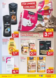 Gazetka promocyjna Netto Marken-Discount - Filial-Angebote - Gazetka - ważna od 19.08 do 19.08.2023 - strona 27 - produkty: angebot, axe, axe duschgel, bestpreis, duschgel, eis, garnier, hundesnack, hundesnacks, kaltwachsstreifen, katzennahrung, kraft, reifen, reis, rind, rinder, shampoo, shampoo oder spülung, snack, snacks, spülung, Ti, veet, vita, vitakraft, Wahre Schätze, ZTE