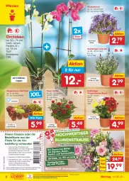 Gazetka promocyjna Netto Marken-Discount - Filial-Angebote - Gazetka - ważna od 19.08 do 19.08.2023 - strona 6 - produkty: bestpreis, blume, blumen, Blumenstrauß, Blüte, chrysanthemen, coupon, eis, elle, erde, Germ, lavendel, leine, ndk, orchidee, orchideen, pflanze, pflanzen, reis, rosen, rwe, Schal, Schale, Sempervivum, Ti, topf