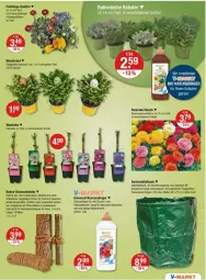 Gazetka promocyjna Vmarkt - Prospekte - Gazetka - ważna od 27.03 do 27.03.2024 - strona 21 - produkty: auer, Bau, bio, blume, blumen, Blüte, dekoration, dünger, erde, flüssigdünger, Garten, gin, kokos, Kraut, kräuter, natur, ring, rwe, sac, Ti, tisch, topf, tragegriff, weck