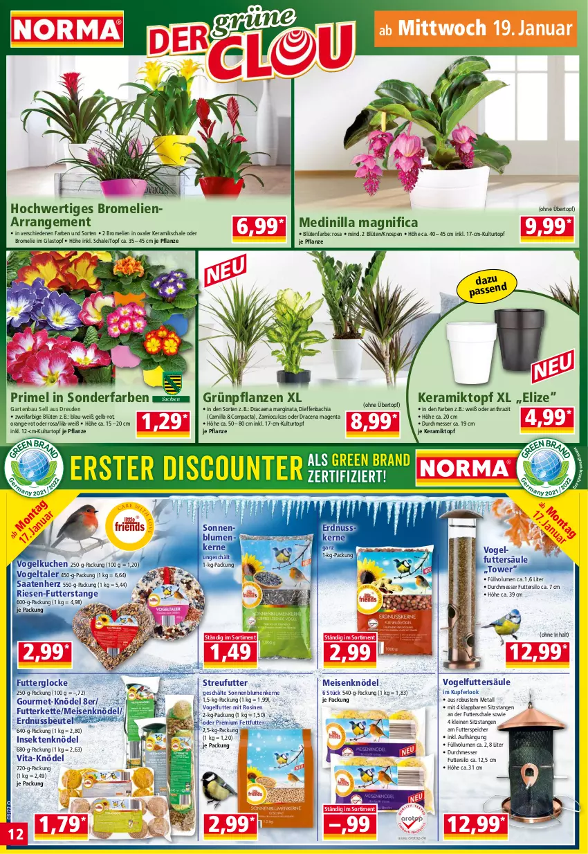 Aktueller Prospekt Norma - Norma - von 17.01 bis 24.01.2022 - strona 12 - produkty: Bau, beutel, blume, blumen, Blüte, Bromelie, chia, eis, erdnuss, Garten, gin, Grünpflanzen, Kette, Knödel, kuchen, kulturtopf, leine, Meisenknödel, messer, nuss, orange, pflanze, pflanzen, sac, Schal, Schale, sekt, sonnenblume, sonnenblumen, Sonnenblumenkerne, Streufutter, Ti, topf, übertopf, vita, Vogelfutter