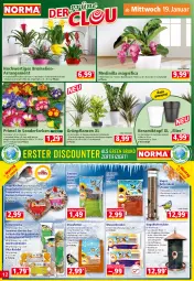 Gazetka promocyjna Norma - Norma - Gazetka - ważna od 24.01 do 24.01.2022 - strona 12 - produkty: Bau, beutel, blume, blumen, Blüte, Bromelie, chia, eis, erdnuss, Garten, gin, Grünpflanzen, Kette, Knödel, kuchen, kulturtopf, leine, Meisenknödel, messer, nuss, orange, pflanze, pflanzen, sac, Schal, Schale, sekt, sonnenblume, sonnenblumen, Sonnenblumenkerne, Streufutter, Ti, topf, übertopf, vita, Vogelfutter