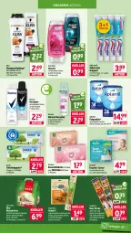 Gazetka promocyjna Wasgau - Gazetka - ważna od 19.09 do 19.09.2026 - strona 23 - produkty: Abba, Bau, beef, binden, bio, creme, deo, deospray, drucker, duschdas, dusche, eis, Engel, feuchte tücher, flasche, folgemilch, garnier, gin, gliss, Katzenstreu, kerze, kosmetik, Kosmetiktücher, kraft, LG, mac, milch, Odol, pampers, papier, reis, rexona, shampoo, snack, snacks, spülung, Ti, toilettenpapier, tücher, vita, vitakraft, Vitamine, würfel, zahncreme