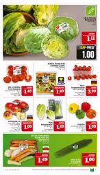 Gazetka promocyjna Marktkauf - Prospekt - Gazetka - ważna od 04.01 do 04.01.2025 - strona 7 - produkty: aktionspreis, deka, eis, eisbergsalat, nuss, paprika, reis, rispentomaten, Romanasalat, salat, Salatmix, tafeläpfel, Ti, tomate, tomaten