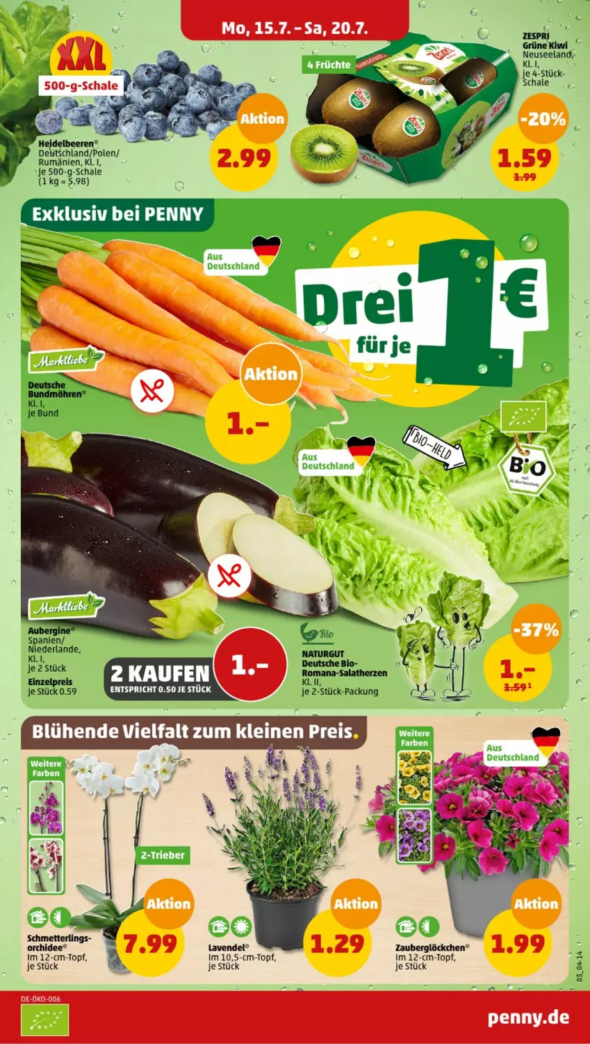 Aktueller Prospekt Penny - Prospekte - von 15.07 bis 20.07.2024 - strona 3 - produkty: aubergine, beere, beeren, bio, Bundmöhren, Elan, gin, heidelbeere, heidelbeeren, kiwi, lavendel, möhren, natur, orchidee, rum, salat, salatherzen, Schal, Schale, topf, zauberglöckchen, zespri