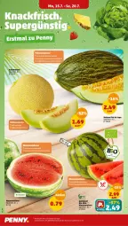 Gazetka promocyjna Penny - Prospekte - Gazetka - ważna od 20.07 do 20.07.2024 - strona 2 - produkty: bio, eis, galiamelone, melone, natur, reis, salat, salatherzen, wasser, wassermelone, ZTE
