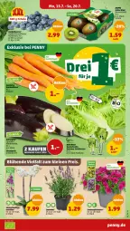 Gazetka promocyjna Penny - Prospekte - Gazetka - ważna od 20.07 do 20.07.2024 - strona 3 - produkty: aubergine, beere, beeren, bio, Bundmöhren, Elan, gin, heidelbeere, heidelbeeren, kiwi, lavendel, möhren, natur, orchidee, rum, salat, salatherzen, Schal, Schale, topf, zauberglöckchen, zespri