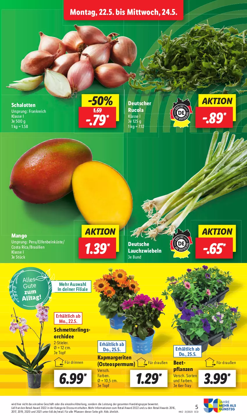 Aktueller Prospekt Lidl - Aktionsprospekt - von 22.05 bis 27.05.2023 - strona 7 - produkty: cola, Mett, orchidee, pflanze, pflanzen, rucola, Schal, Schalotte, Schmetterling, Ti, zwiebel, zwiebeln