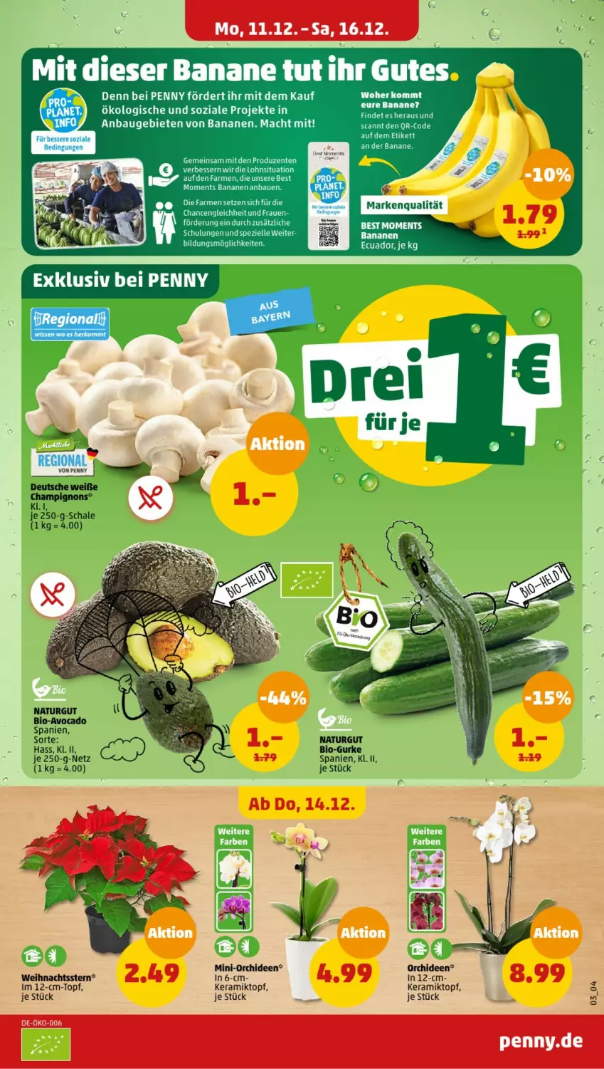 Aktueller Prospekt Penny - Prospekte - von 11.12 bis 16.12.2023 - strona 3 - produkty: Bau, bio, gurke, natur, Schal, Schale, topf, wein