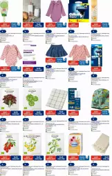 Gazetka promocyjna Dm Drogerie - Prospekte - Gazetka - ważna od 06.08 do 06.08.2025 - strona 17 - produkty: Aufbewahrungsdose, Bau, baumwolle, beere, beeren, body, cin, cocktail, decke, eis, elle, feldsalat, gillette, honig, jeans, kräuter, Langarmshirt, leine, Lotion, mac, mach3, Mütze, nuk, orange, Profissimo, rasierer, Rasierklinge, rasierklingen, reis, rel, rum, salat, sekt, Serum, shirt, sim, tablet, tablett, Tablette, tee, Ti, tomate, uhr, vita, weleda, wolle, zucchini