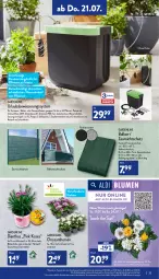Gazetka promocyjna Aldi Nord - Aldi-Aktuell - Gazetka - ważna od 23.07 do 23.07.2022 - strona 25 - produkty: aldi, auer, Behälter, blume, blumen, Blüte, Brei, chrysanthemen, eis, elle, erde, hero, kulturtopf, LG, pflanze, pflanzen, reis, Ria, Schal, schläuche, Ti, topf, uhr, wasser, ZTE
