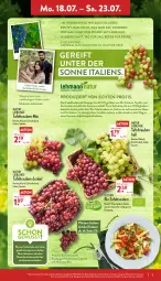 Gazetka promocyjna Aldi Nord - Aldi-Aktuell - Gazetka - ważna od 23.07 do 23.07.2022 - strona 3 - produkty: aldi, Bau, beere, bier, bio, Cap, eis, Elan, frucht, lebensmittel, natur, Nike, nudel, nudelsalat, Rauch, reis, Ria, salat, Schal, Schale, tafeltrauben, Ti, trauben, trolli, wasser, wein, wolle, Yo