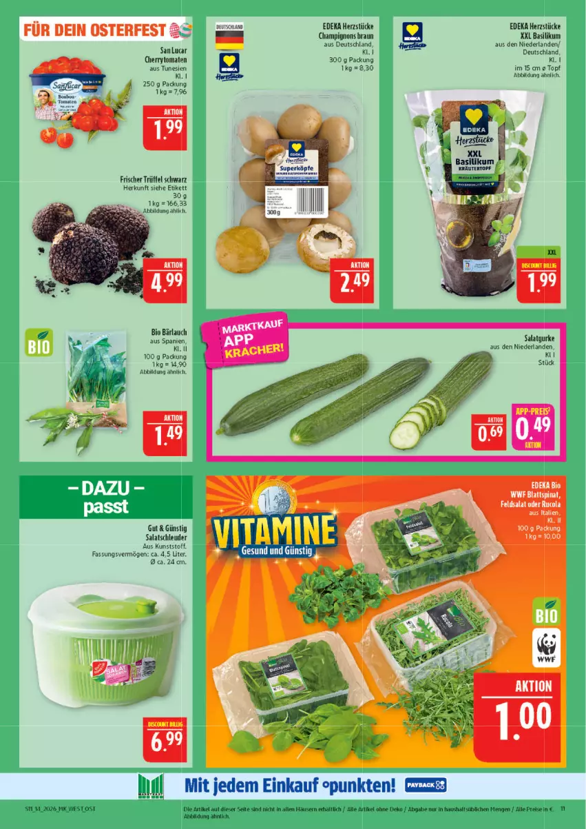 Aktueller Prospekt Marktkauf - Prospekt - von 29.03 bis 04.04.2026 - strona 11 - produkty: basilikum, bio, braun, champignon, champignons, champignons braun, cherrytomaten, deka, eis, leine, mam, reis, salat, Ti, tomate, tomaten, topf, Trüffel