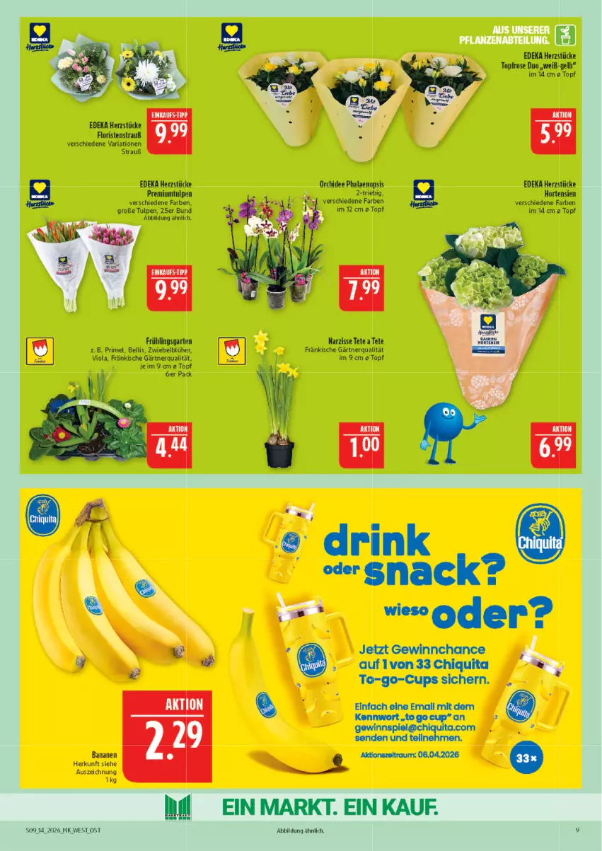 Aktueller Prospekt Marktkauf - Prospekt - von 29.03 bis 04.04.2026 - strona 9 - produkty: banane, bananen, chiquita, deka, drink, eis, Garten, gewinnspiel, hortensie, hortensien, orchidee, phalaenopsis, Ria, snack, Ti, topf, zwiebel