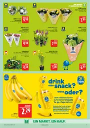 Gazetka promocyjna Marktkauf - Prospekt - Gazetka - ważna od 04.04 do 04.04.2026 - strona 9 - produkty: banane, bananen, chiquita, deka, drink, eis, Garten, gewinnspiel, hortensie, hortensien, orchidee, phalaenopsis, Ria, snack, Ti, topf, zwiebel