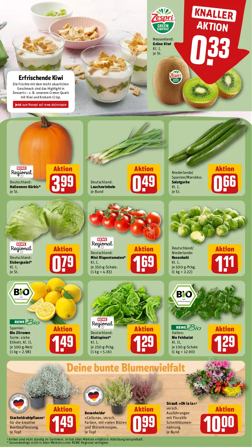 Aktueller Prospekt Rewe - Prospekte - von 14.10 bis 19.10.2024 - strona 7 - produkty: bio, blattspinat, blume, blumen, Blüte, creme, dessert, desserts, Draht, eis, eisbergsalat, Elan, feldsalat, früchte, gurke, kiwi, Kürbis, Lauchzwiebel, lauchzwiebeln, mac, pflanze, quark, rezept, rezepte, rispentomaten, rosen, Rosenkohl, salat, Salatgurke, Schal, Schale, spinat, Ti, tomate, tomaten, topf, zitrone, zitronen, zwiebel, zwiebeln