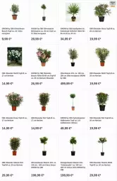 Gazetka promocyjna Obi - Prospekte - Gazetka - ważna od 21.06 do 21.06.2023 - strona 14 - produkty: Bau, citrus, kokos, limo, olive, oliven, orange, orangen, Ti, topf, zitrone, zitronen