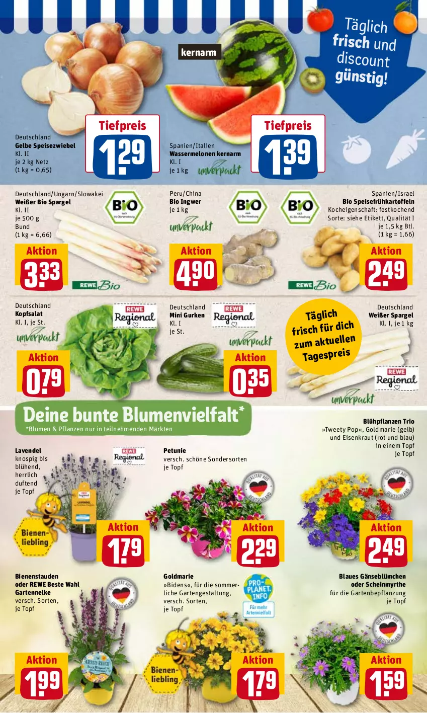 Aktueller Prospekt Rewe - Diese Woche im Angebot! - von 07.06 bis 11.06.2022 - strona 3 - produkty: bio, blume, blumen, discount, eis, Frühkartoffeln, Garten, gartennelke, goldmarie, gurke, gurken, HP, ingwer, kartoffel, kartoffeln, kopfsalat, Kraut, lavendel, melone, melonen, merl, petunie, pflanze, pflanzen, reis, rewe beste wahl, salat, spargel, speisefrühkartoffeln, stauden, Ti, tiefpreis, topf, wasser, wassermelone, wassermelonen, zwiebel