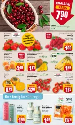 Gazetka promocyjna Rewe - Diese Woche im Angebot! - Gazetka - ważna od 11.06 do 11.06.2022 - strona 2 - produkty: aprikose, aprikosen, banane, bananen, beere, beeren, bio, dressing, eis, erdbeere, erdbeeren, himbeer, himbeere, himbeeren, kirsch, kirsche, kirschen, kühlregal, mango, mangos, regal, reis, rispentomaten, salat, salatdressing, Schal, Schale, smoothie, smoothies, Sylter, Ti, tomate, tomaten, true fruits, Zum Dorfkrug