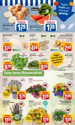 Gazetka promocyjna Rewe - Diese Woche im Angebot! - Gazetka - ważna od 11.06 do 11.06.2022 - strona 3 - produkty: bio, blume, blumen, discount, eis, Frühkartoffeln, Garten, gartennelke, goldmarie, gurke, gurken, HP, ingwer, kartoffel, kartoffeln, kopfsalat, Kraut, lavendel, melone, melonen, merl, petunie, pflanze, pflanzen, reis, rewe beste wahl, salat, spargel, speisefrühkartoffeln, stauden, Ti, tiefpreis, topf, wasser, wassermelone, wassermelonen, zwiebel