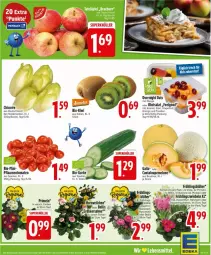 Gazetka promocyjna Edeka - Prospekte - Gazetka - ważna od 14.03 do 14.03.2026 - strona 3 - produkty: ananas, beutel, bio, grapefruit, gurke, kiwi, LG, mango, melone, Narzissen, obst, orange, pflaume, pflaumen, Primeln, rind, salat, Ti, tomate, tomaten, topf, trauben, zwiebel, zwiebeln