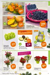 Gazetka promocyjna Tegut - Angebote der Woche - Gazetka - ważna od 24.12 do 24.12.2021 - strona 7 - produkty: angebot, angebote, avocado, avocados, Bau, beere, beeren, bio, bio-zitronen, blume, blumen, Blumen und Pflanzen, dekoration, eis, früchte, heidelbeere, heidelbeeren, mango, obst, pflanze, pflanzen, reis, rosen, Schal, Schale, sim, Ti, topf, trauben, Weihnachtsstern, wein, zitrone, zitronen