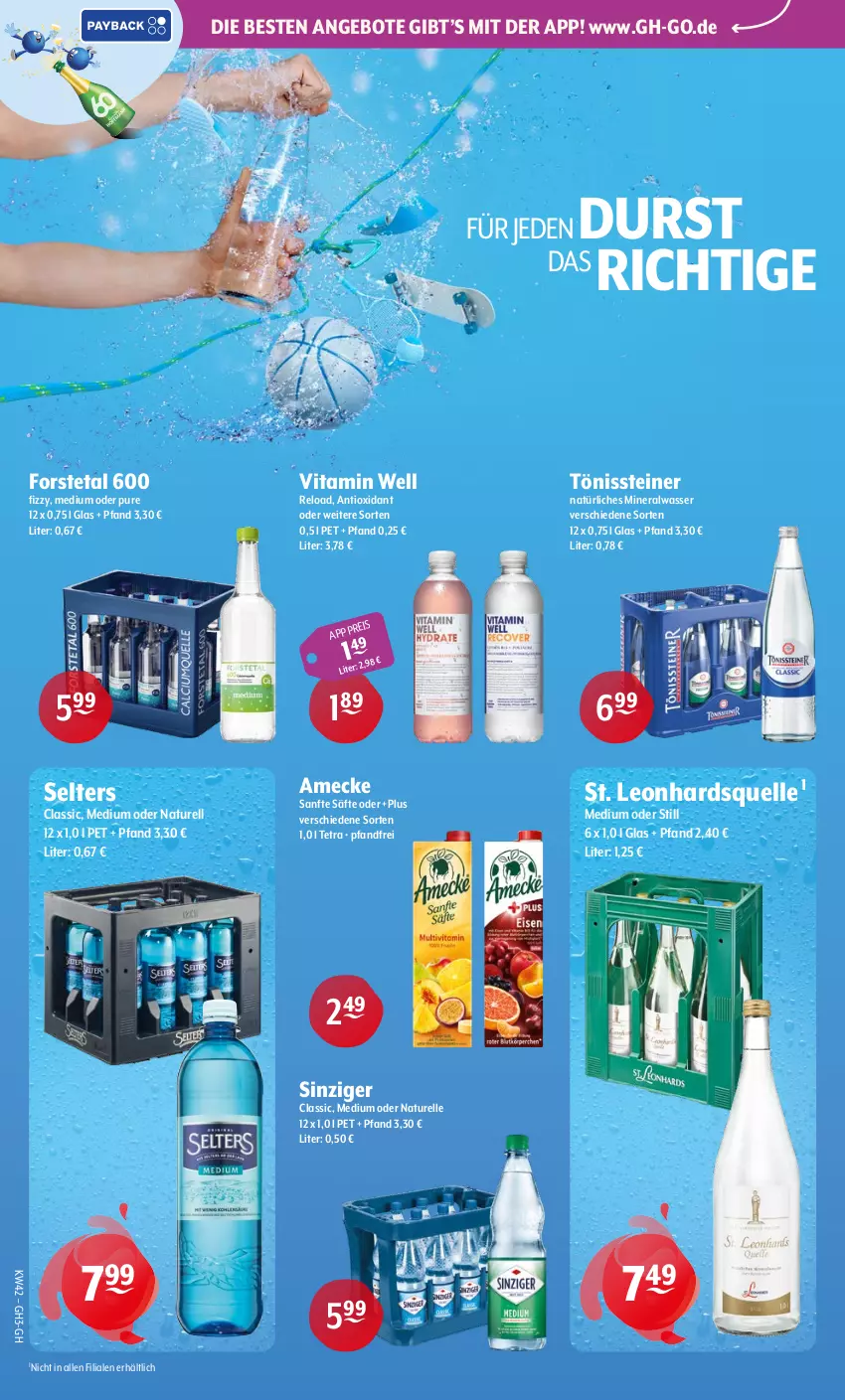 Aktueller Prospekt Getraenke Hoffmann - Prospekte - von 12.10 bis 17.10.2026 - strona 2 - produkty: Alwa, amecke, angebot, angebote, eis, elle, Forstetal, mineralwasser, natur, natürliches mineralwasser, rel, säfte, Selters, steiner, Ti, vita, wasser