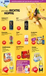 Gazetka promocyjna Getraenke Hoffmann - Prospekte - Gazetka - ważna od 17.10 do 17.10.2026 - strona 6 - produkty: alkohol, angebot, angebote, bier, corona, corona extra, desperados, eis, Estrella Damm, gin, Guinness, jever, krombache, krombacher, oder radler, radler, rel, schöfferhofer, spirituosen, Ti, tyskie