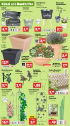 Gazetka promocyjna Thomas Philipps - Gazetka - ważna od 20.04 do 20.04.2024 - strona 2 - produkty: bambus, blume, blumen, calibrachoa, eimer, eis, Holz, lavendel, Mett, Pflanztopf, Schal, Schale, Schmetterling, tablet, tablett, Ti, topf, übertopf, usb, zauberglöckchen