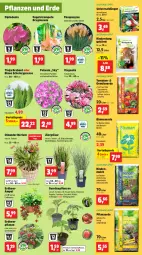 Gazetka promocyjna Thomas Philipps - Gazetka - ważna od 20.04 do 20.04.2024 - strona 3 - produkty: Bau, beere, beeren, blume, blumen, blumenerde, Blüte, dip, dipladenia, dünger, eis, Engel, erdbeere, erdbeeren, Erdbeerpflanze, erde, Gemüseerde, gurke, gurken, heinz, Kraut, Kürbis, lamm, LG, paprika, peperoni, Peroni, petunie, pflanze, pflanzen, pflanzerde, Rauch, reis, rind, rindenmulch, rinder, sac, snack, Spezi, Ti, tomate, tomaten, topf, übertopf, vorteilspreis, wedel, zucchini