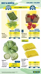 Gazetka promocyjna Metro - Wochen-Angebote Gastro - Gazetka - ważna od 17.01 do 17.01.2026 - strona 9 - produkty: beere, beeren, beutel, cola, eis, erdbeere, erdbeeren, früchte, grana, Granatäpfel, kartoffel, kartoffeln, küche, Küchen, obst, paprika, paprika rot, Rana, reis, rucola, sac, Schal, Schale, Ti, tiefpreis, Weißkohl, würfel, zitrone, zitronen