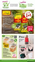 Gazetka promocyjna Wasgau - Gazetka - ważna od 13.06 do 13.06.2026 - strona 21 - produkty: angebot, asti, auer, basilikum, Bau, Becher, beutel, briketts, buch, cocktail, cocktails, dressing, eis, fleisch, fleischwurst, gewürz, Gewürzgurke, gewürzgurken, grill, grill-holzkohle, gurke, gurken, gutschein, gutscheine, herren-t-shirt, Holz, holzkohle, joghur, joghurt, karotten, knoblauch, Kugel, kugelgrill, LG, mac, mais, marinade, meerrettich, nudel, nudelsalat, panty, Pyjama, reis, Rettich, sac, salat, Schal, Schale, shirt, shirts, shorty, shorty-pyjama, slip, spaghetti, T-Shirt, Ti, tisch, tomate, tomaten, Weißkohl, würfel, wurst