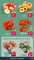 Gazetka promocyjna Netto - Woche 34 - Gazetka - ważna od 26.08 do 26.08.2023 - strona 3 - produkty: auer, blume, blumen, paprika, paprika rot, pfirsich, pfirsiche, rispentomaten, sac, Spitzpaprika, Ti, tomate, tomaten, topf, Vase