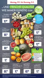 Gazetka promocyjna AldiSud - ALDI Aktuell - Gazetka - ważna od 05.02 do 05.02.2022 - strona 3 - produkty: aldi, alle artikel ohne dekoration, beutel, bio, champignon, champignons, cherrytomaten, dekoration, eis, elle, erde, grapefruit, kartoffel, kartoffeln, leine, LG, melone, monitor, natur, obst, Obst und Gemüse, orange, orangen, reis, rum, Schal, Schale, speisekartoffeln, suppe, suppen, Ti, tomate, tomaten, trauben, und gemüse, wasser, wassermelone, ZTE