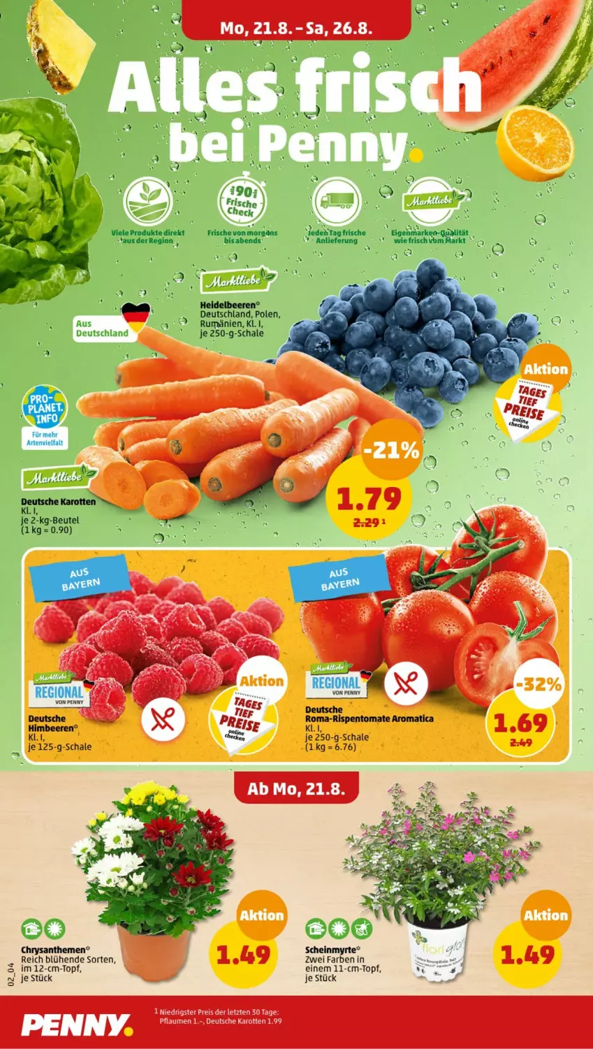 Aktueller Prospekt Penny - Prospekte - von 21.08 bis 26.08.2023 - strona 2 - produkty: beere, beeren, beutel, chrysanthemen, eis, ente, heidelbeere, heidelbeeren, karotten, pflaume, pflaumen, reis, rum, Schal, Schale, topf, ZTE